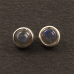 ISJER0116