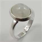 ISJR0065